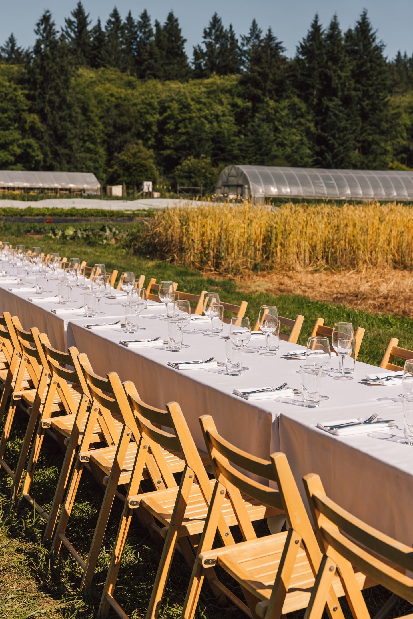 July 06, 2025 | Tonnemaker Valley Farm