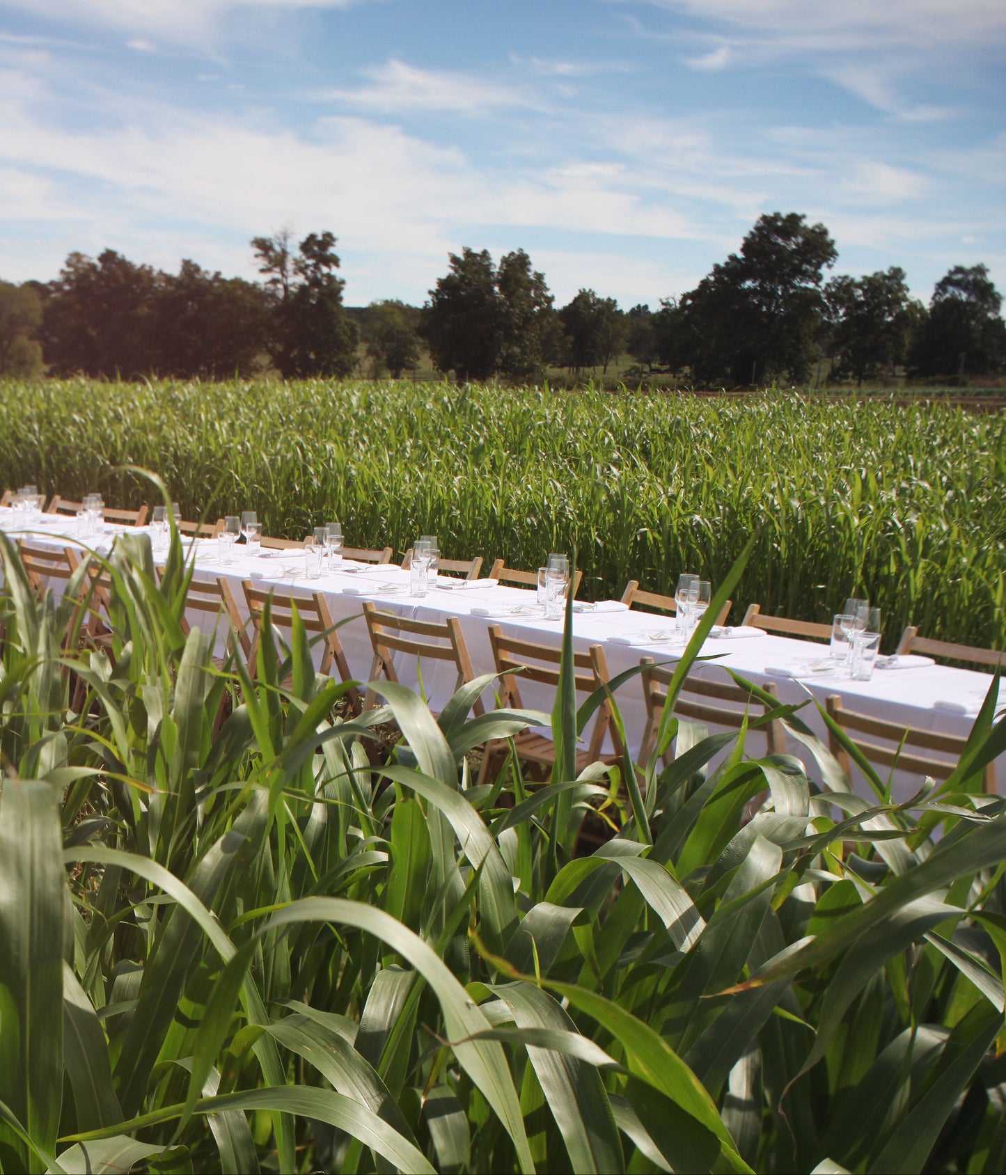 September 09, 2025 | Great Meadow Farm