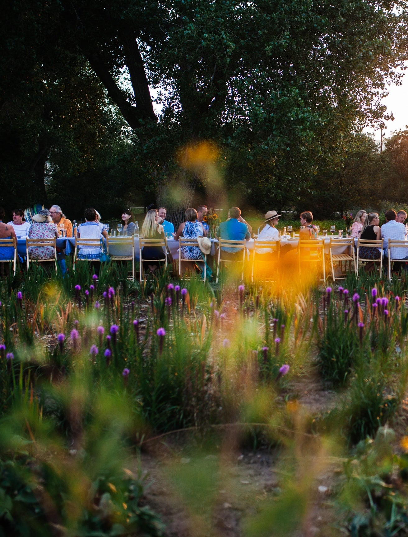 September 28, 2025 | Lovelight Farm