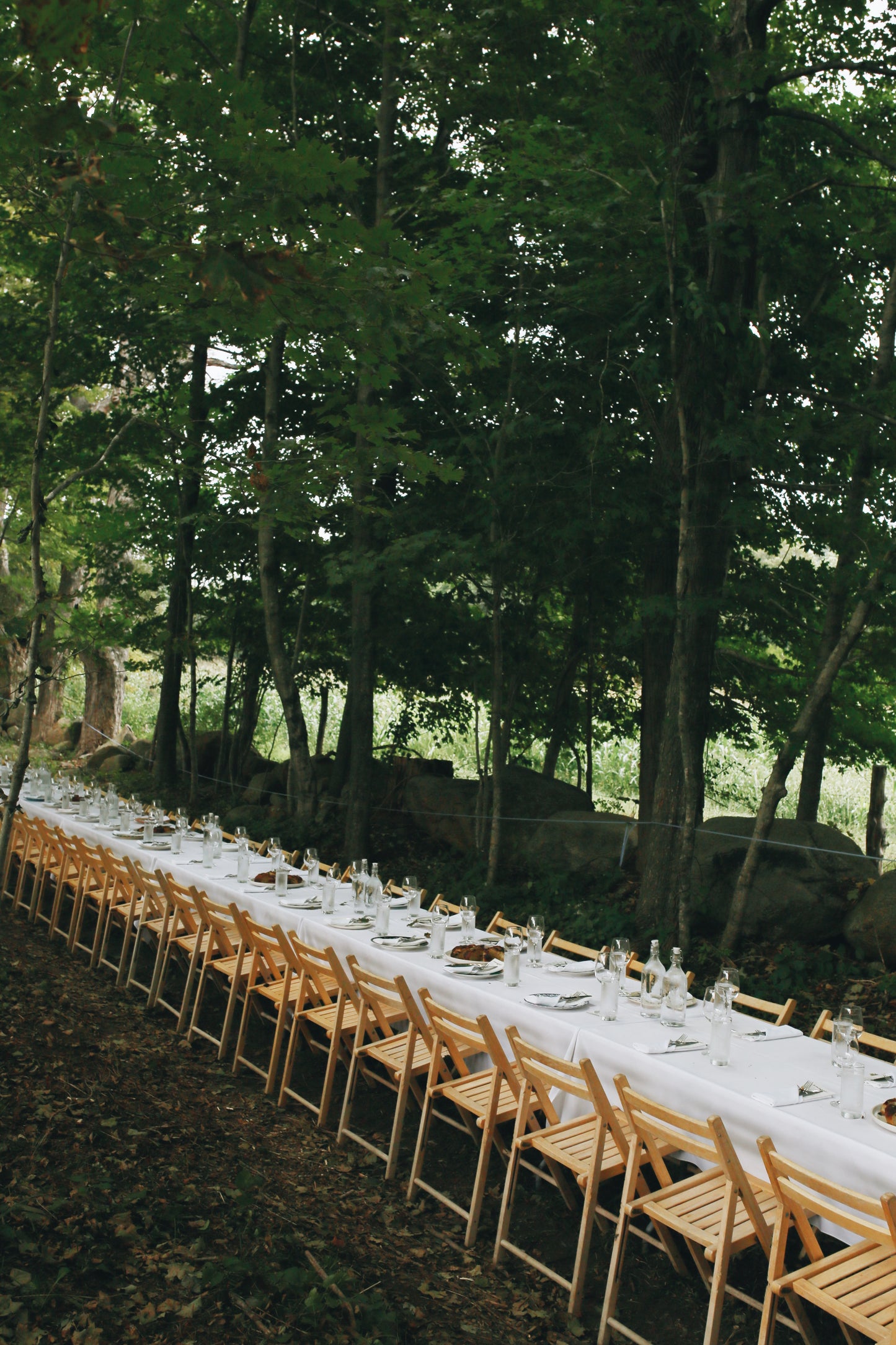 August 26, 2025 | Wild Harmony Farm