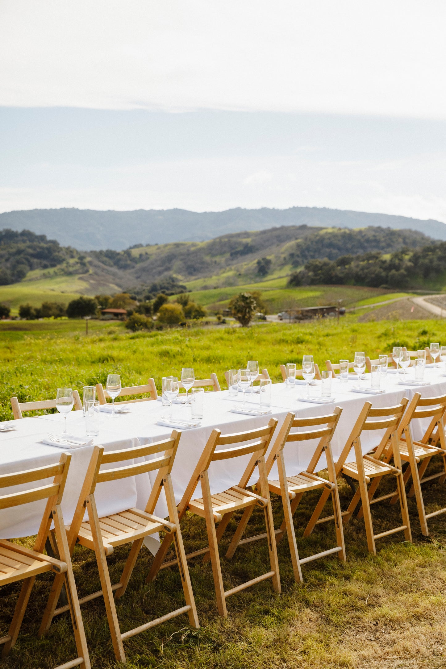 October 28, 2026 | Mama Tree