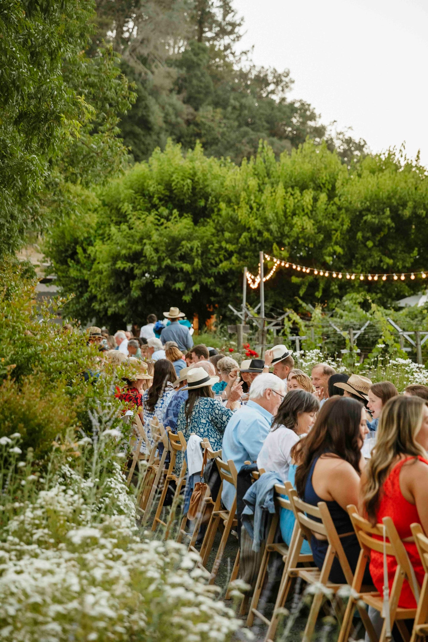 June 08, 2025 | Tres Sabores Winery