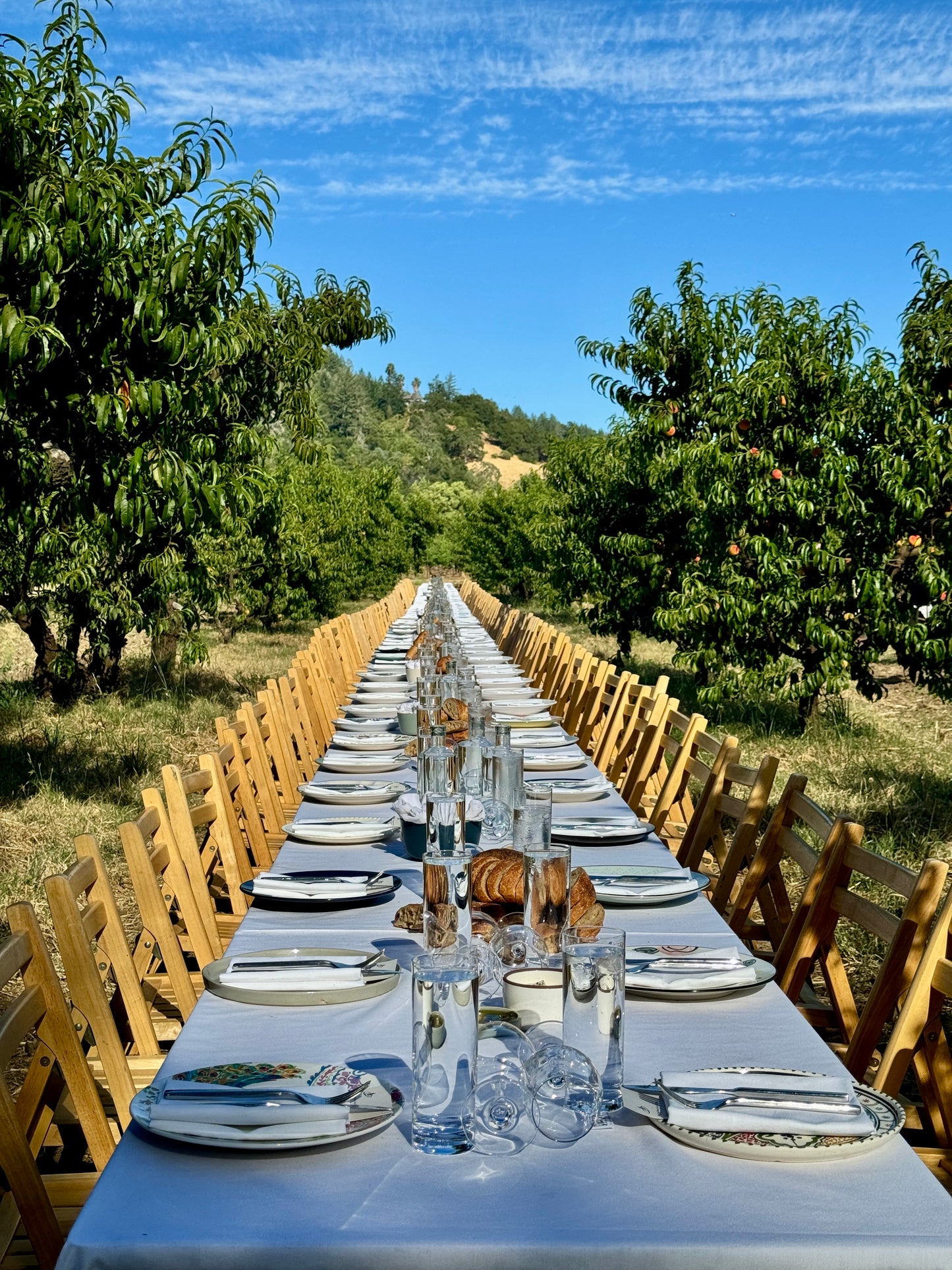 June 28, 2025 | Dry Creek Peach