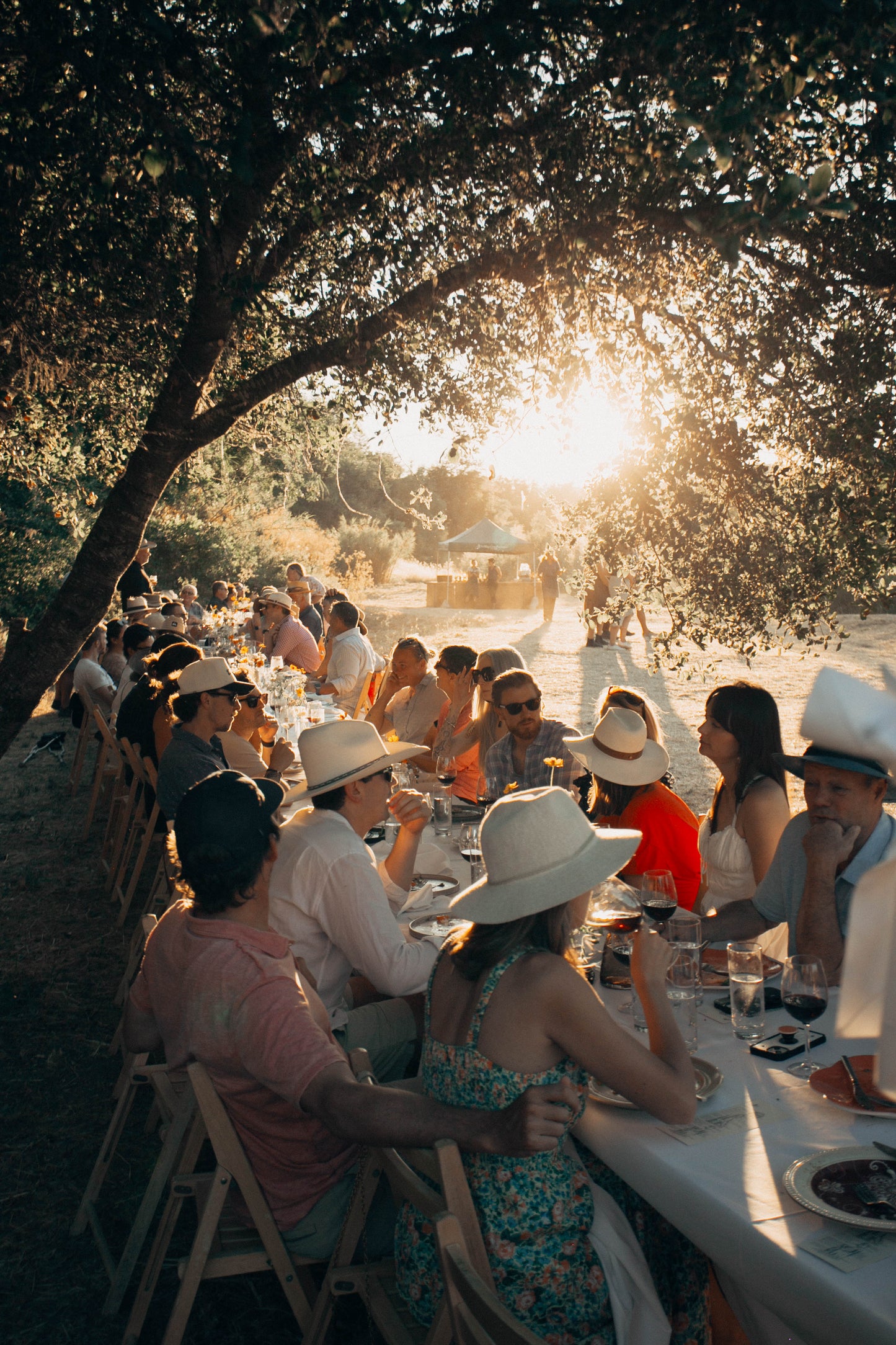 June 29, 2025 | Front Porch Farm