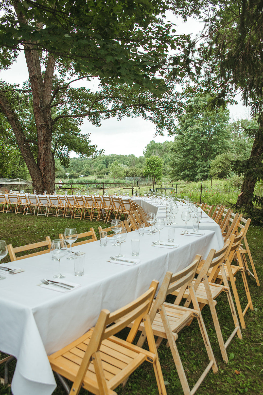 August 09, 2025 | Fisheye Farms