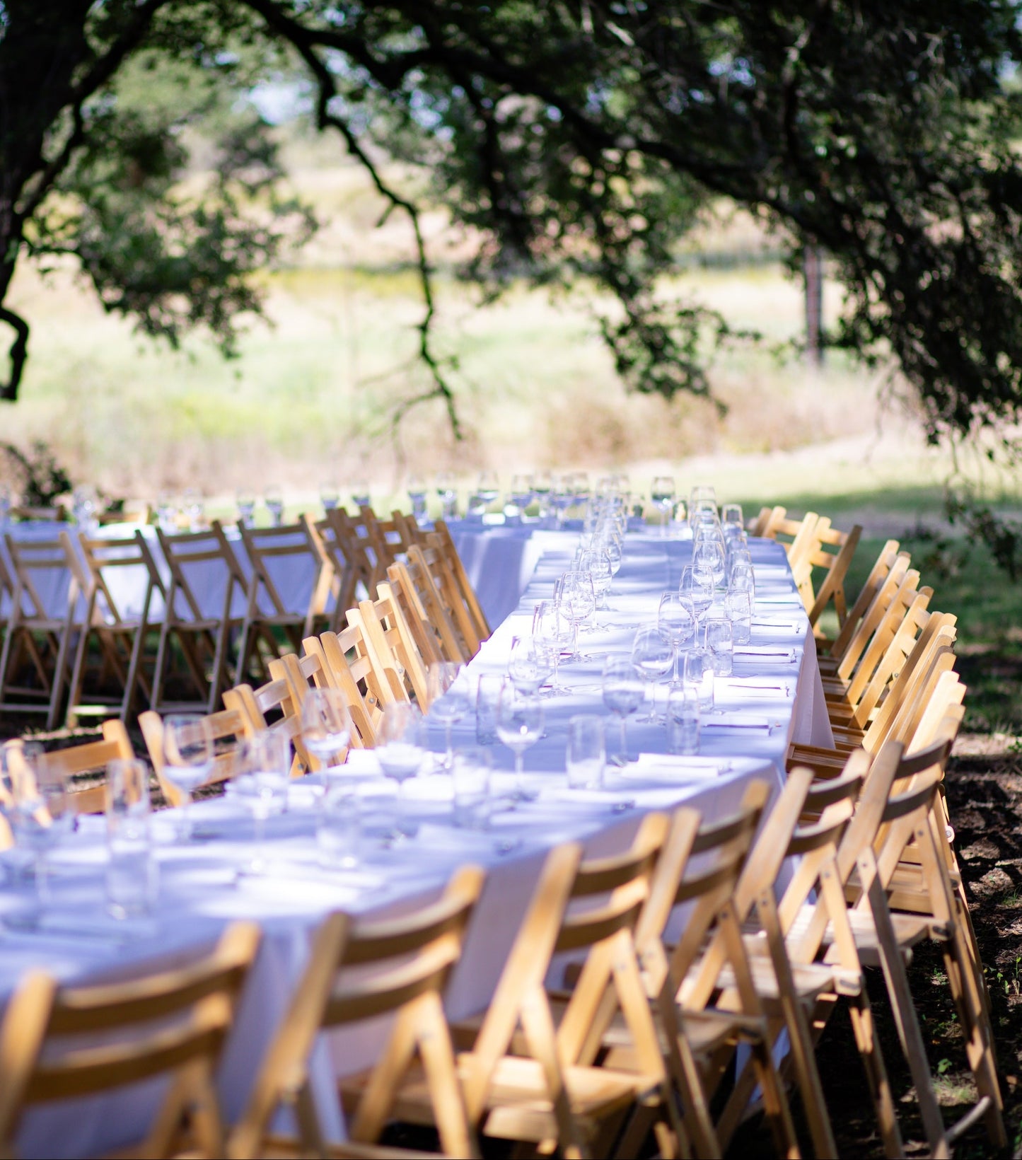 October 18, 2025 | Alta Marfa Winery