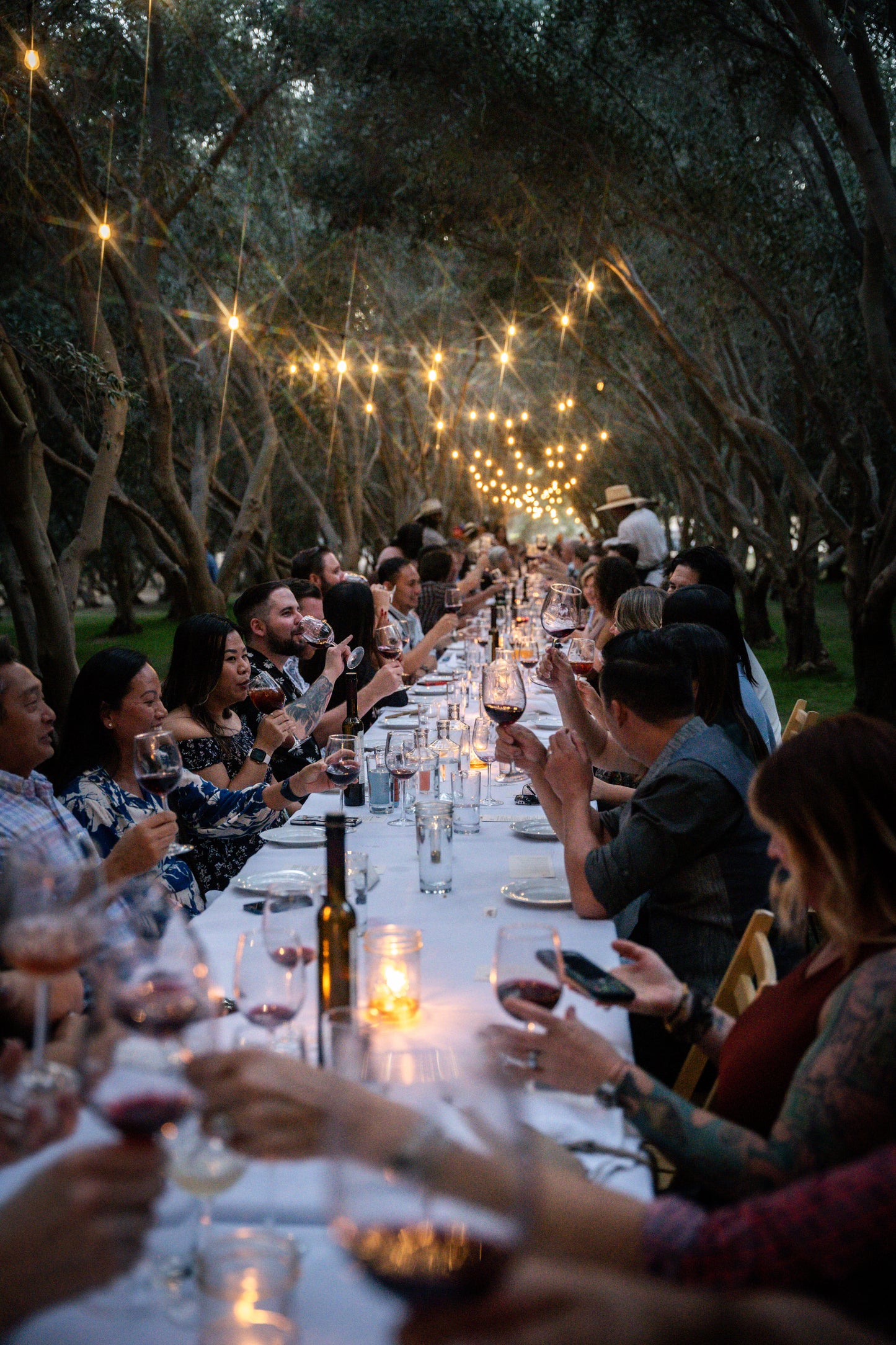 October 26, 2025 | Temecula Olive Oil Co.