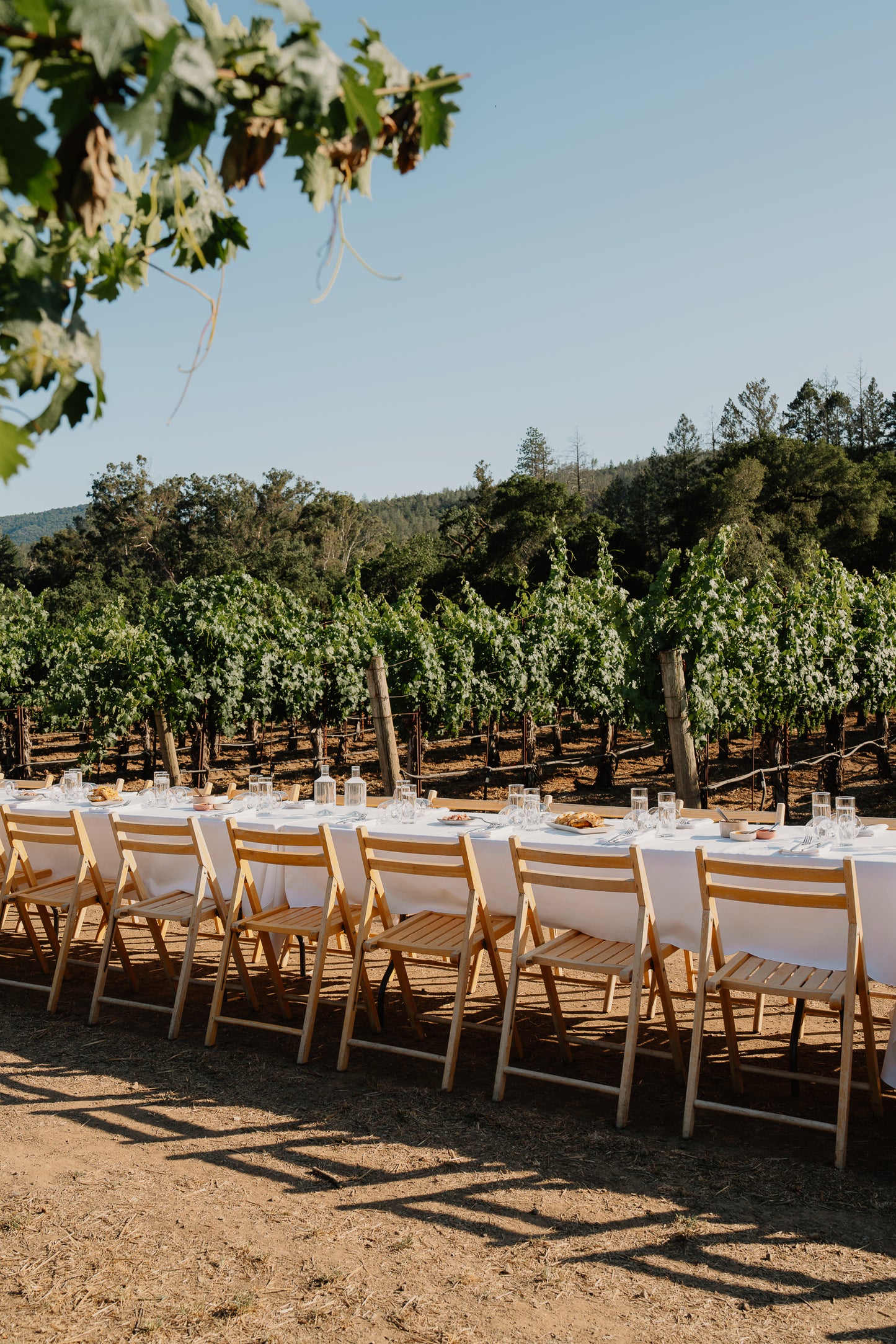Preview | Robert Sinskey Vineyards | June 27, 2026