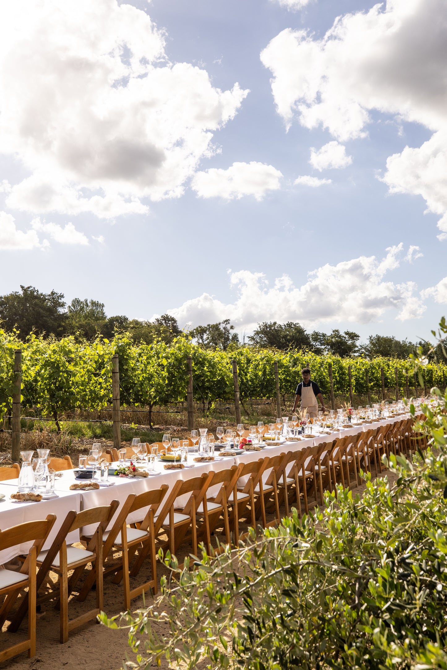 October 18, 2025 | Alta Marfa Winery