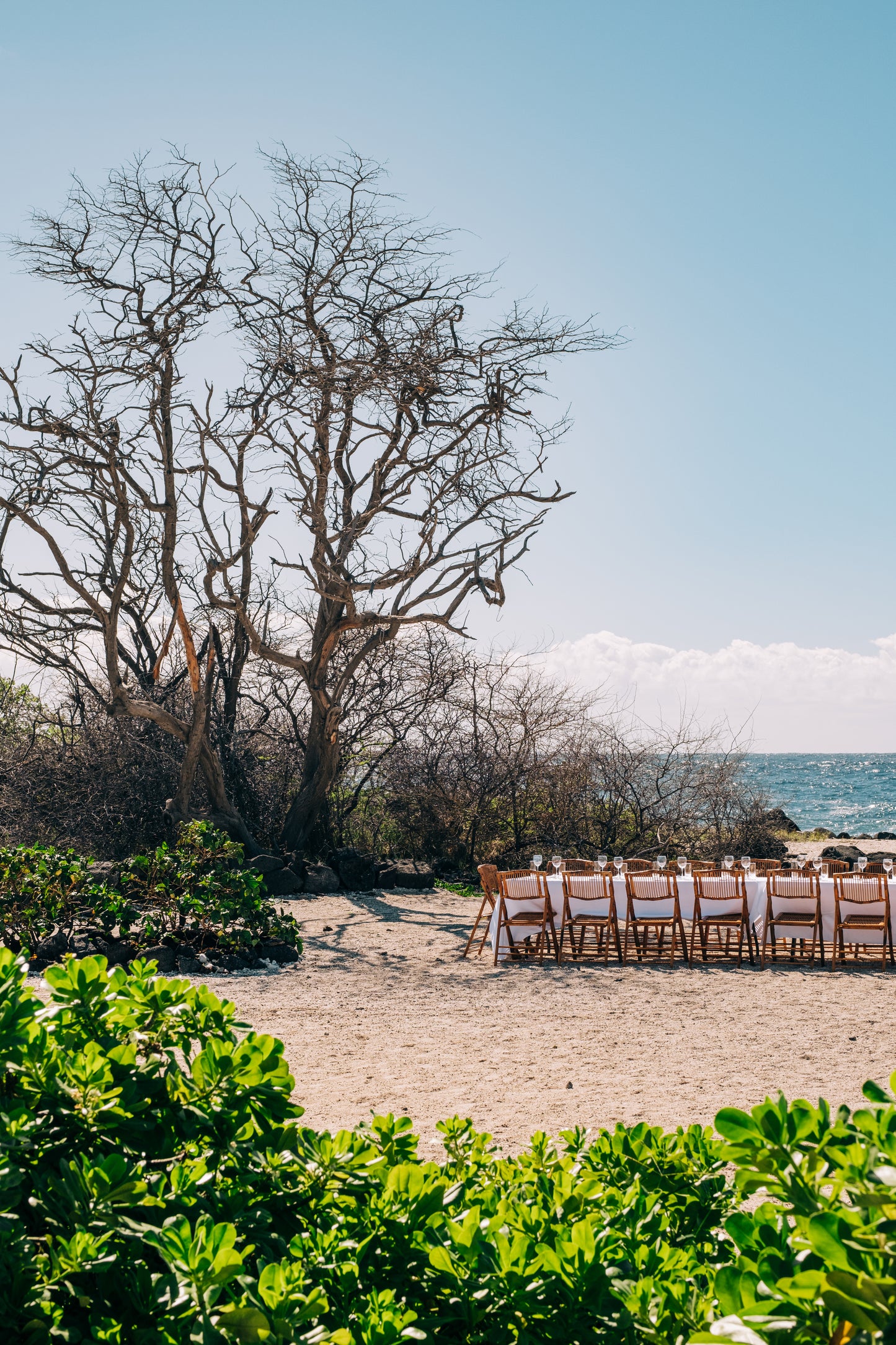 January 11, 2026 | Kuleana Rum