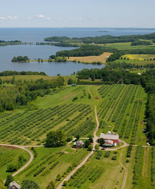 August 15, 2025 | Shelburne Orchards