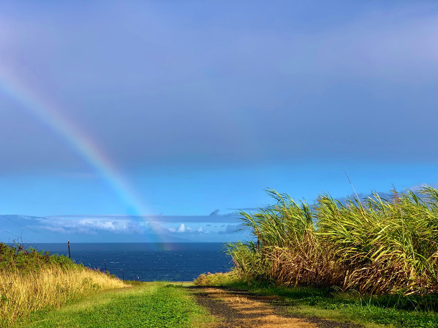 January 11, 2026 | Kuleana Rum