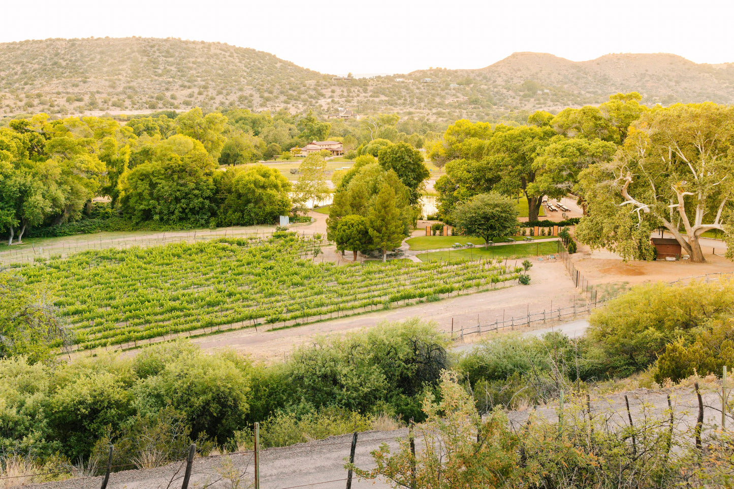 October 21, 2026 | DA Ranch Vineyard