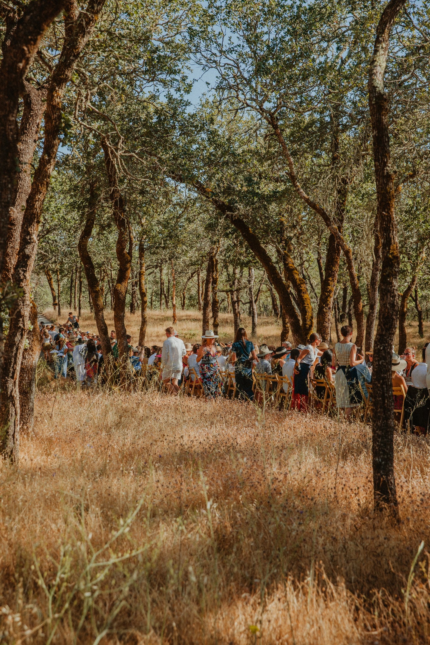 November 15, 2025 | Foraging Feast
