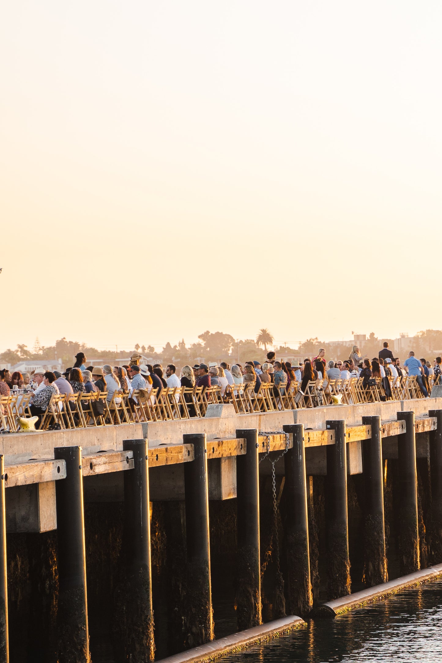 February 08, 2026 | Tuna Harbor Dock