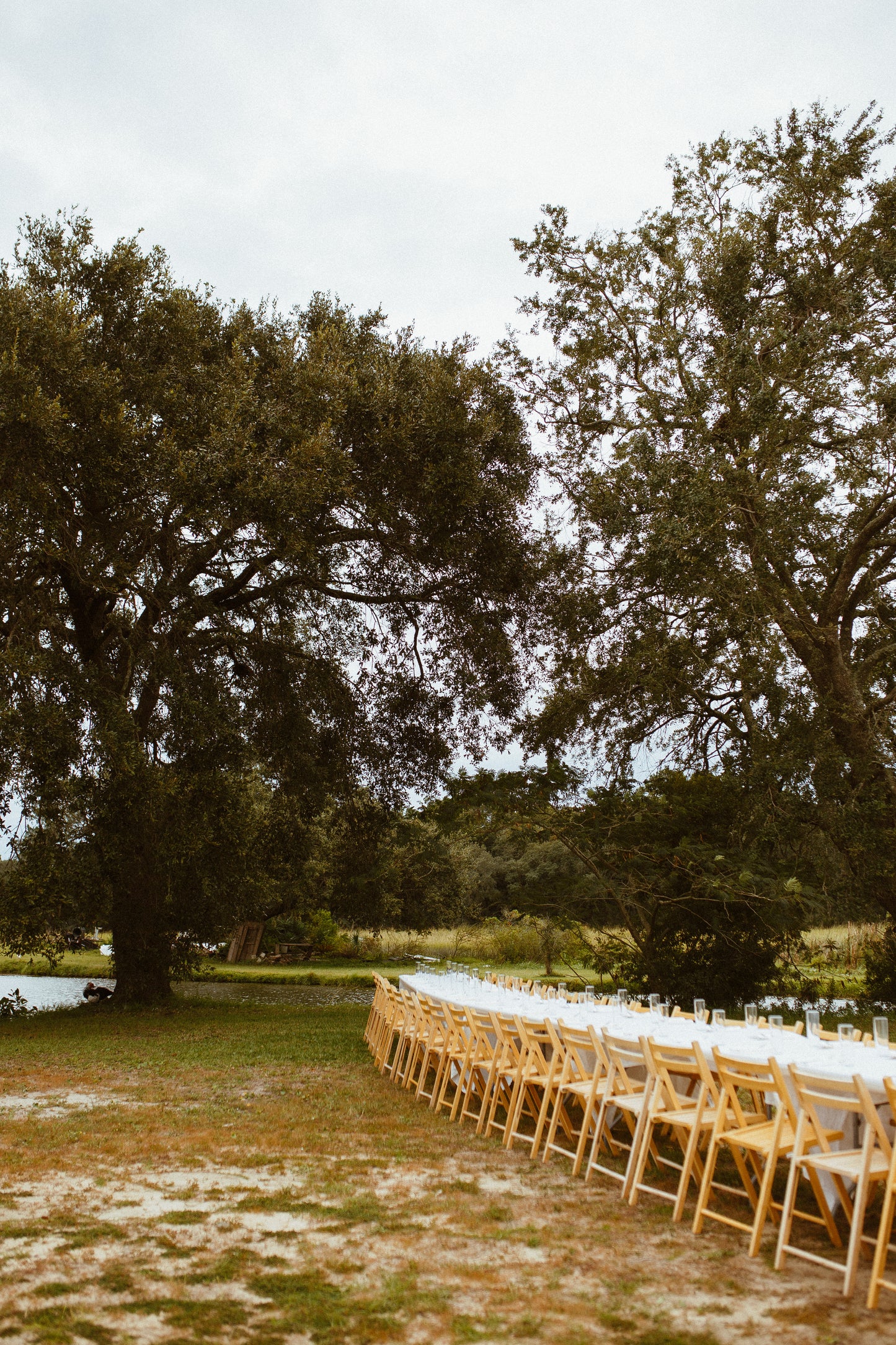 January 26, 2026 | Saint Claire