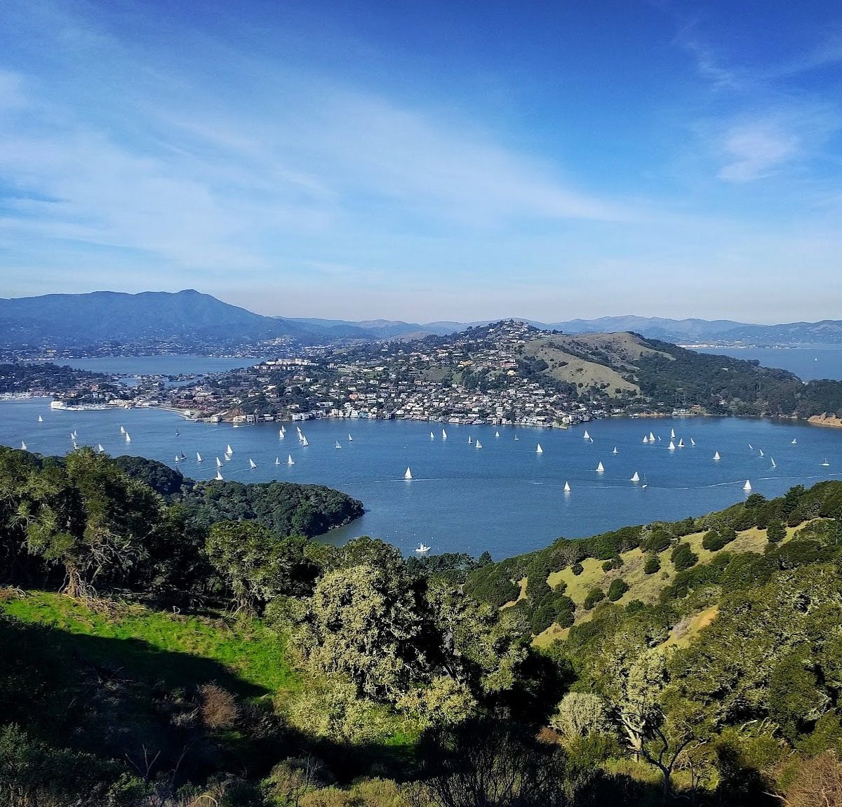 November 04, 2026 | Angel Island