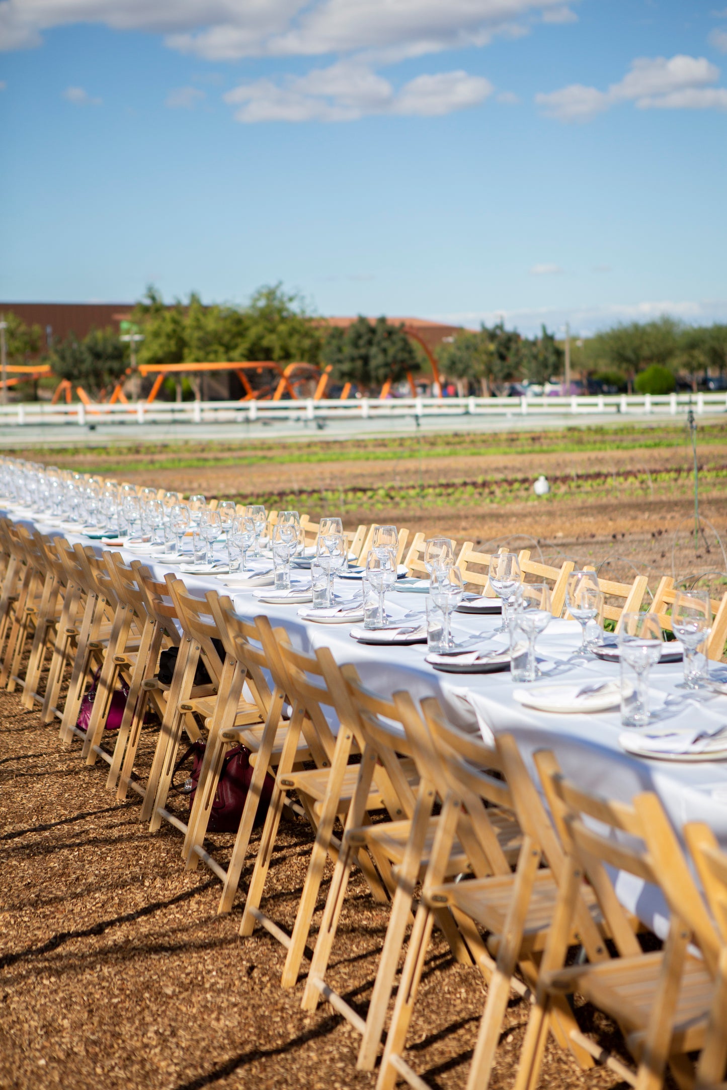 February 03, 2026 | Steadfast Farm