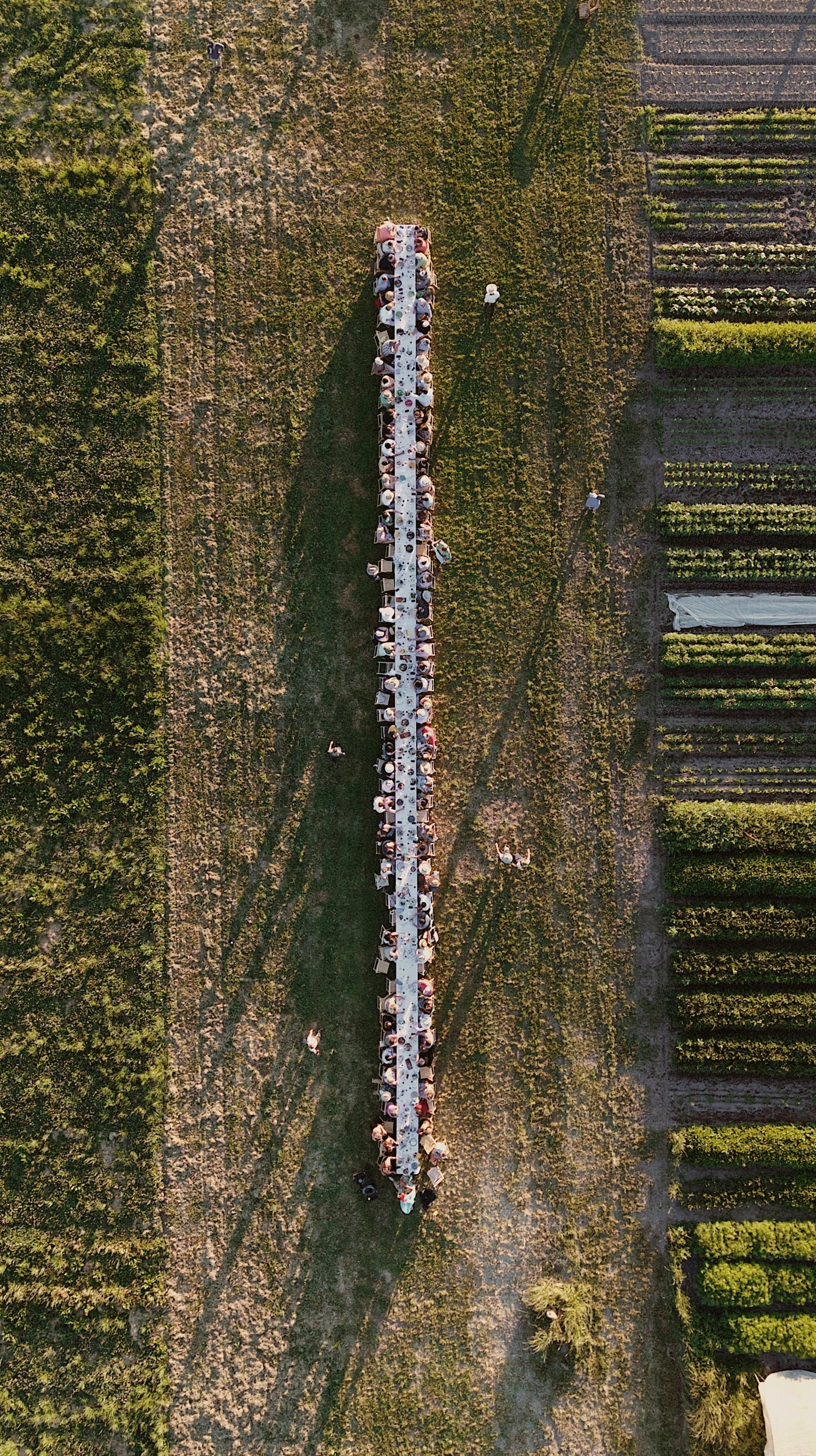 Preview | The Ground at Tabula Rasa | July 14, 2026