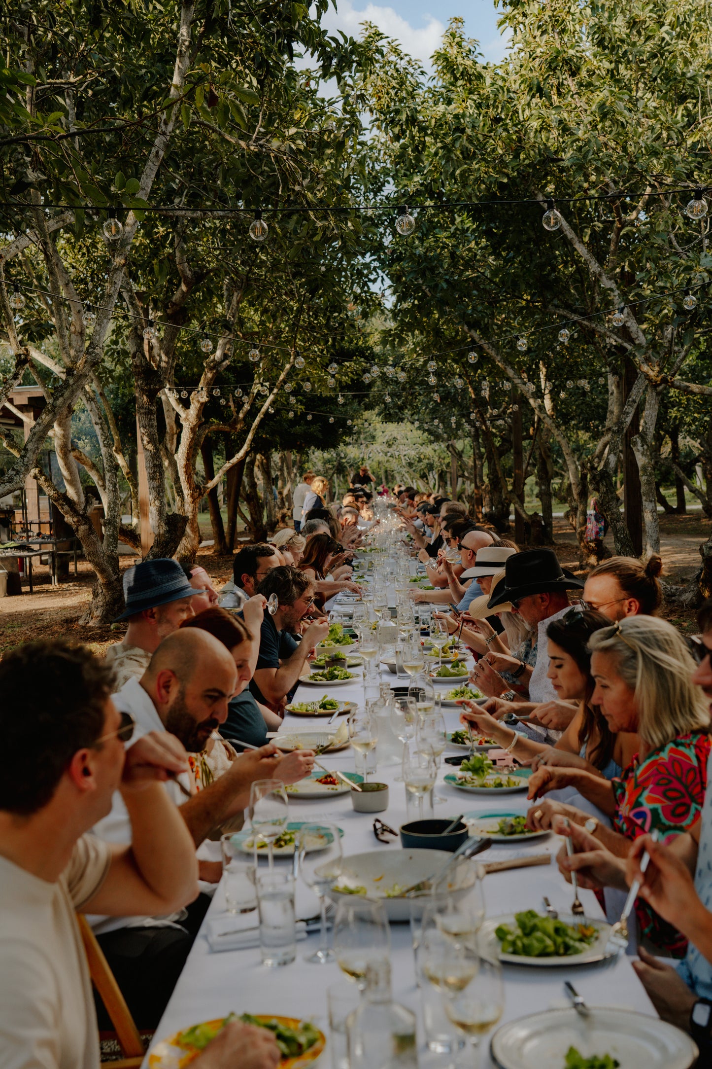 January 18, 2026 | Paradise Farms