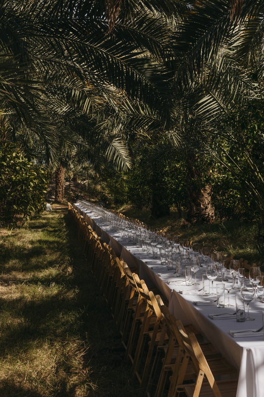 February 15, 2026 | Flying Disc Ranch