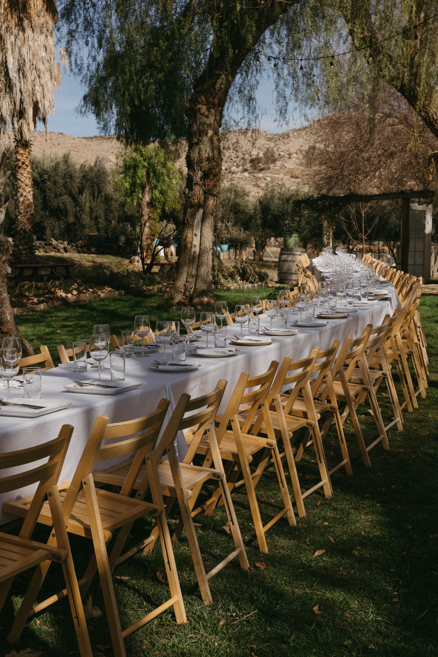 February 07, 2026 | Temecula Olive Oil Company