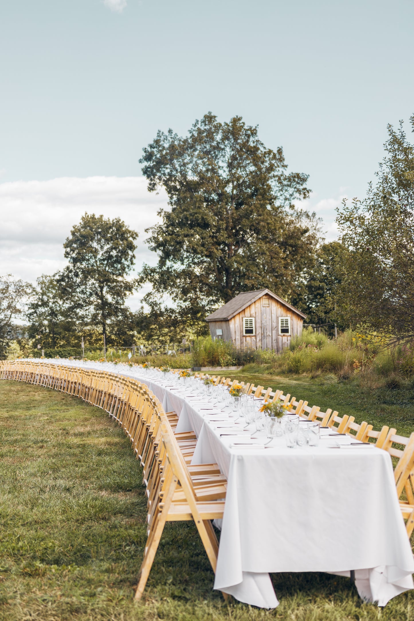 Preview | The Hickories | August 29, 2026