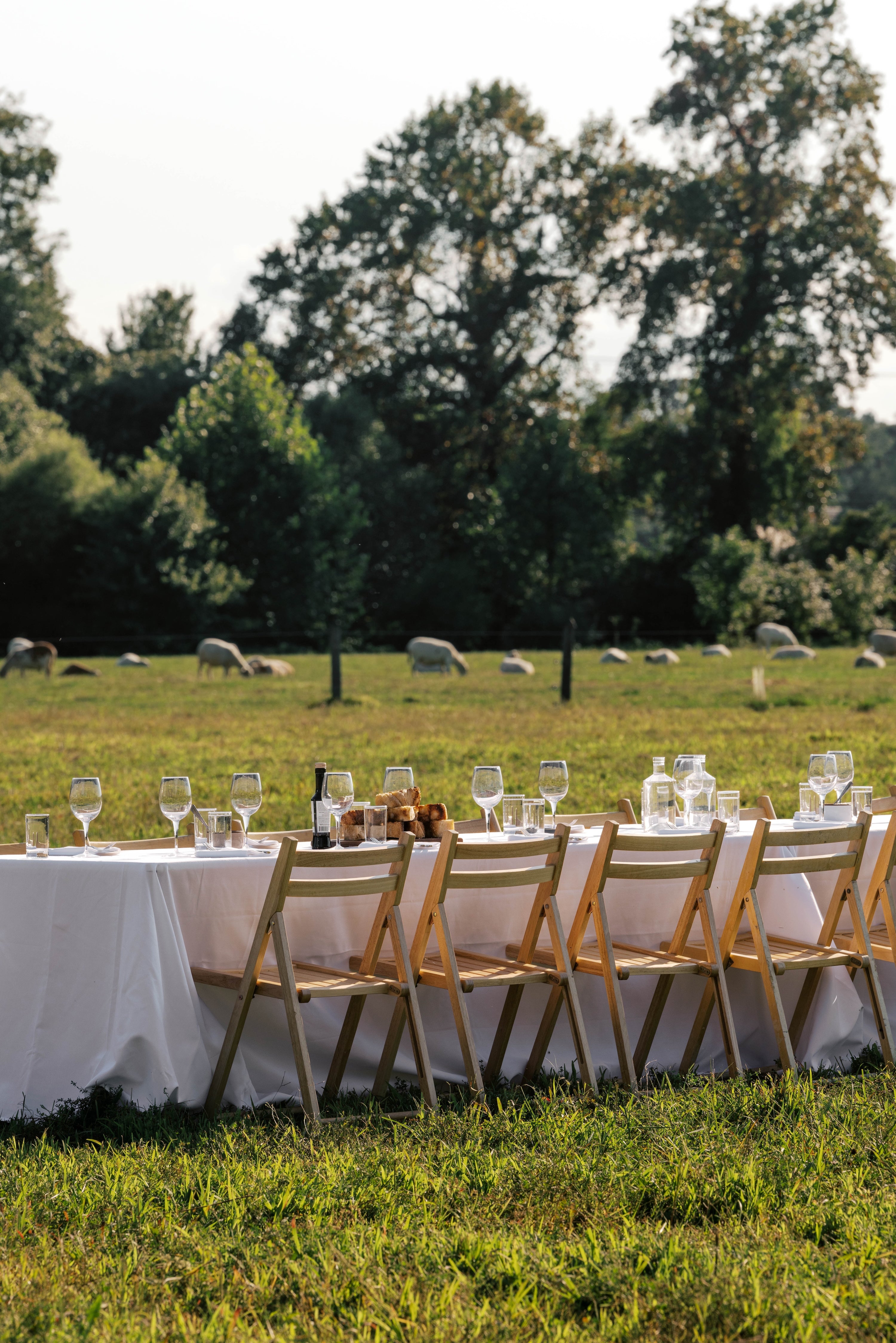 September 13, 2026 | Hollywood Farm – Outstanding in the Field