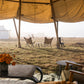 November 04, 2026 | Glamping on Angel Island