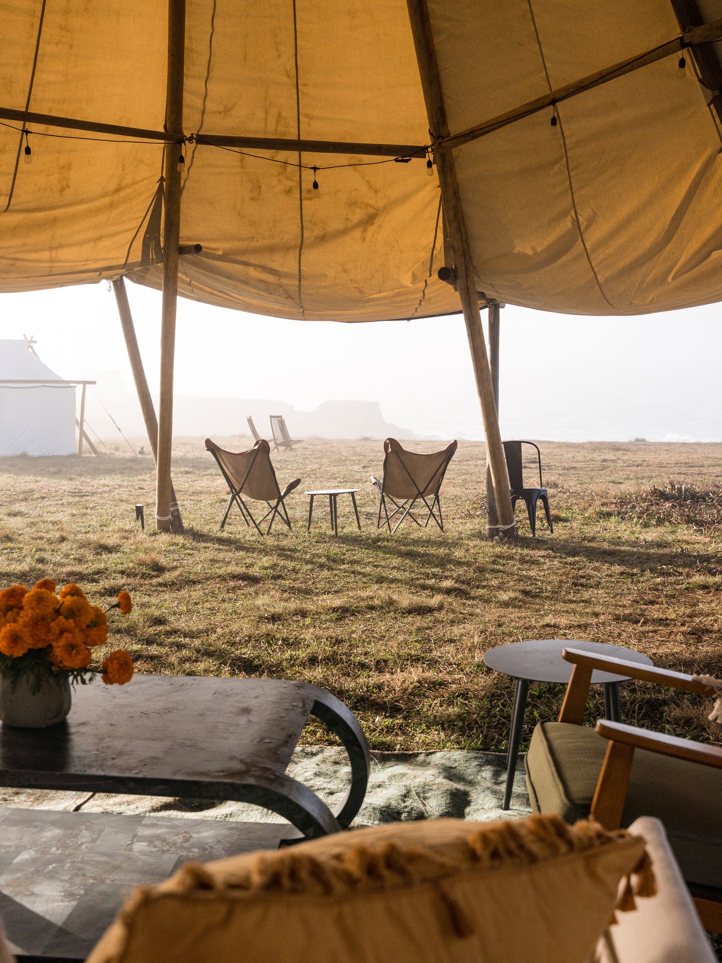 November 04, 2026 | Glamping on Angel Island
