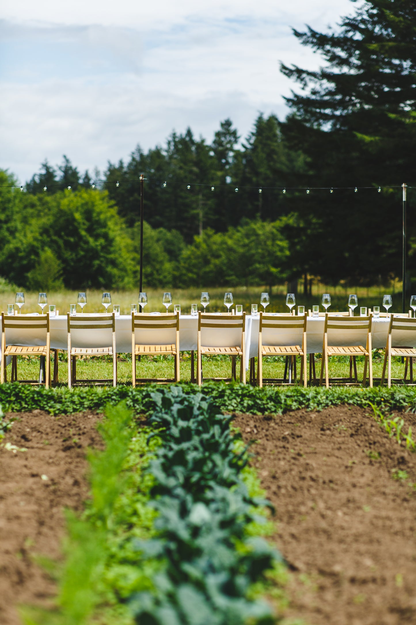 Preview | Orcas Farm | July 07, 2026