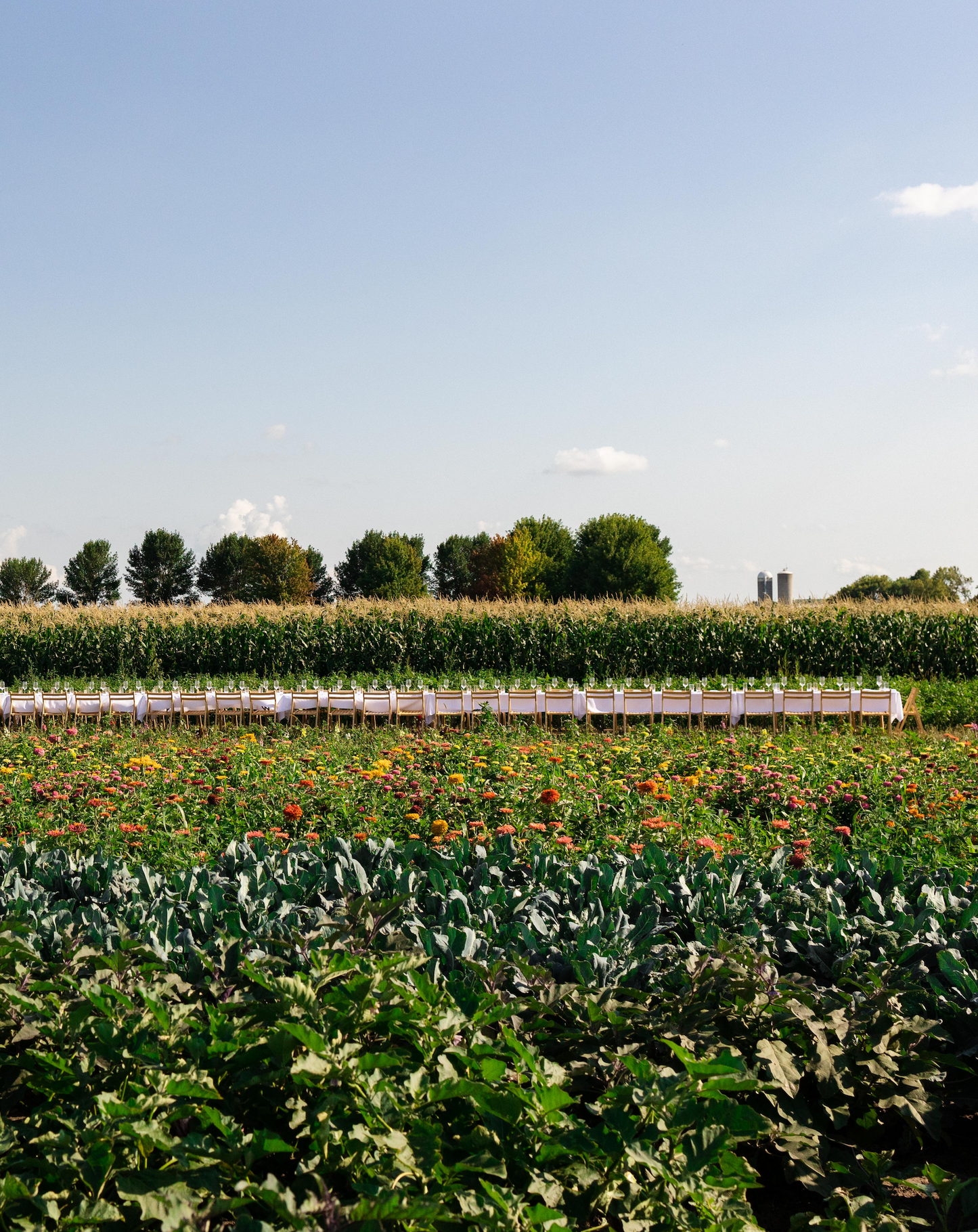 July 06, 2024 | The Organic Farm School