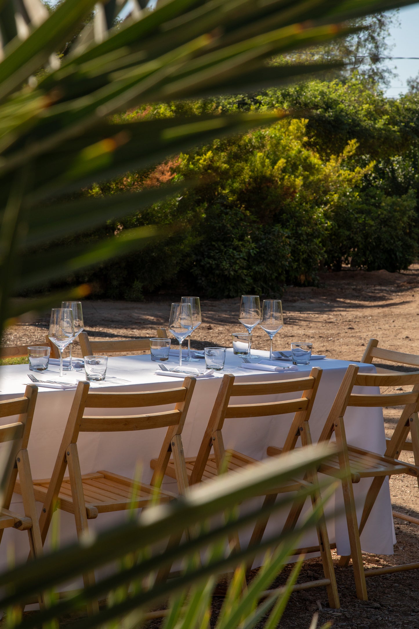 February 03, 2026 | Phoenix Area Event