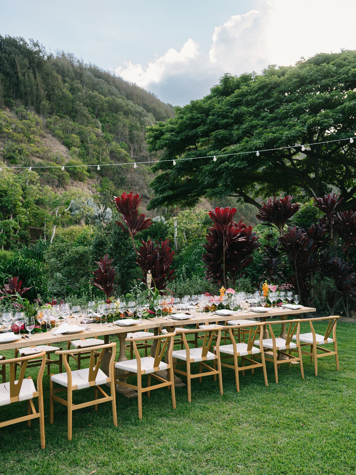 January 09, 2026 | Mahina Farms