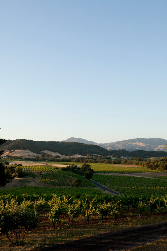 Preview | Ridge Vineyards at Lytton Springs | June 28, 2026