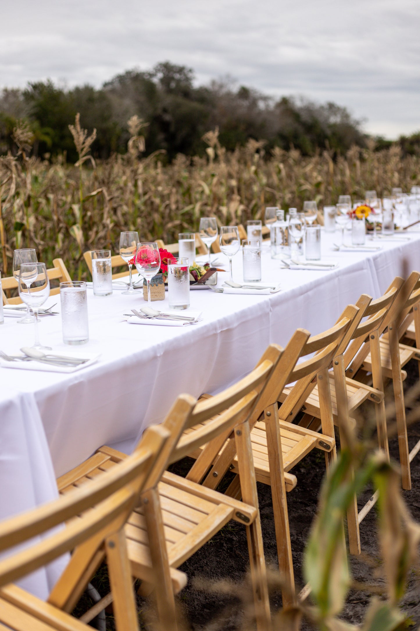 January 20, 2026 | Everoak Farm