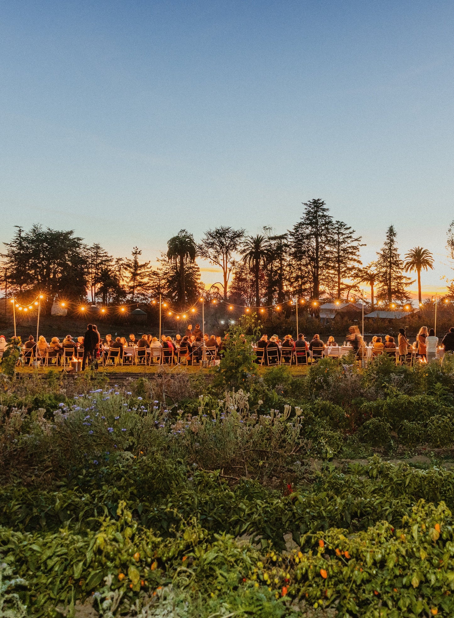 Preview | Pie Ranch | November 14, 2026