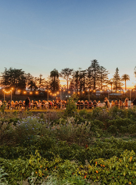 Preview | Pie Ranch | November 14, 2026