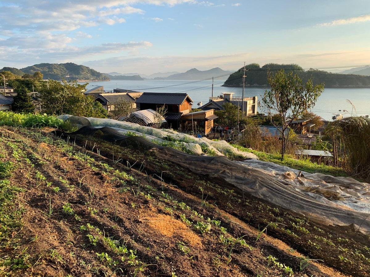 October 17, 2026 | Pitchfork Farms