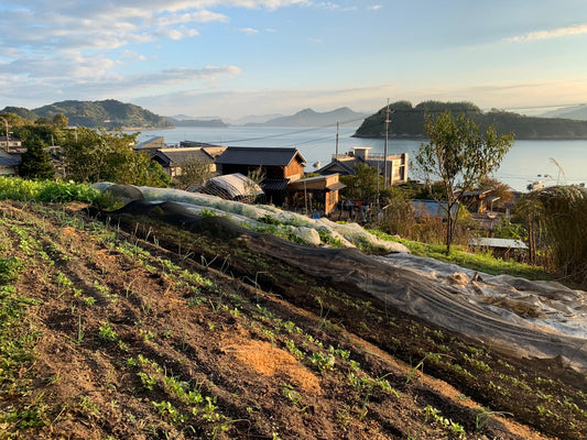 October 17, 2026 | Pitchfork Farms