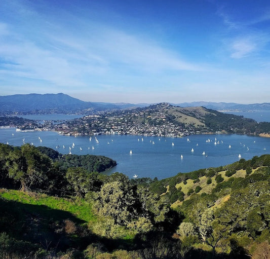 November 04, 2026 | Angel Island